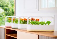 حال وهوای پرورش گیاهان و سبزیجات در خانه با محصول نوآورانه و پر طرفدار LG tiiun