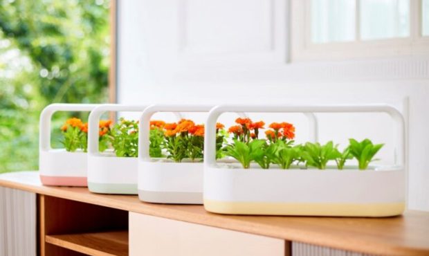 حال وهوای پرورش گیاهان و سبزیجات در خانه با محصول نوآورانه و پر طرفدار LG tiiun