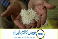 فرایند عرضه و خرید برنج در بورس کالا روبه رشد است