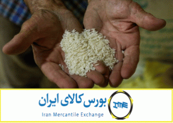 فرایند عرضه و خرید برنج در بورس کالا روبه رشد است