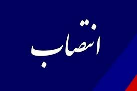 مدیر پروژه PDH پتروشیمی پارس منصوب شد مدیر پروژه PDH پتروشیمی پارس منصوب شد